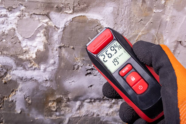Best Commercial Mold Removal  in Long Lake, MN