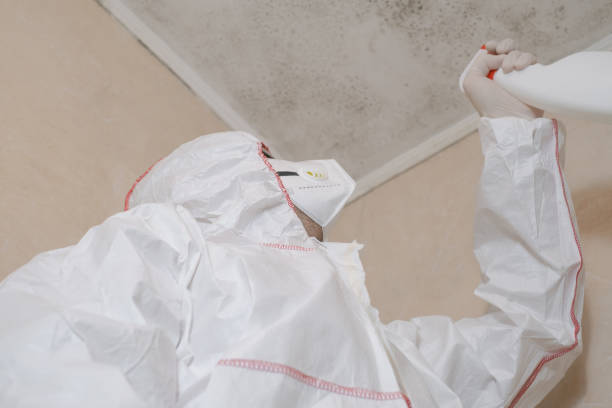 Best Certified Mold Removal  in Long Lake, MN